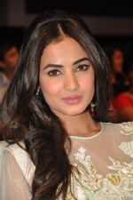 Sonal Chauhan at Pandaga Chesko Audio Launch on 1st may 2015